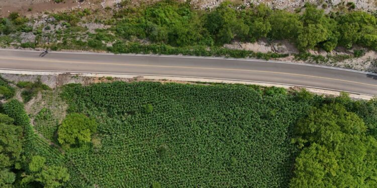 En el Año de la Obras el gobierno de Guerrero transforma la infraestructura carretera