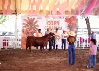 Rancho La Reserva y Rancho Santa Fe, campeones de la Copa Ganadera en la Feria de Colima