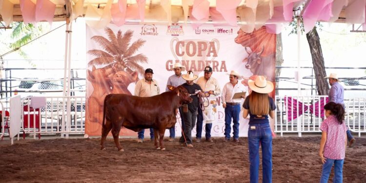 Rancho La Reserva y Rancho Santa Fe, campeones de la Copa Ganadera en la Feria de Colima