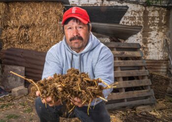 Beneficia AGRICULTURA a 2 millones de beneficiarios de Producción para el Bienestar en 2025