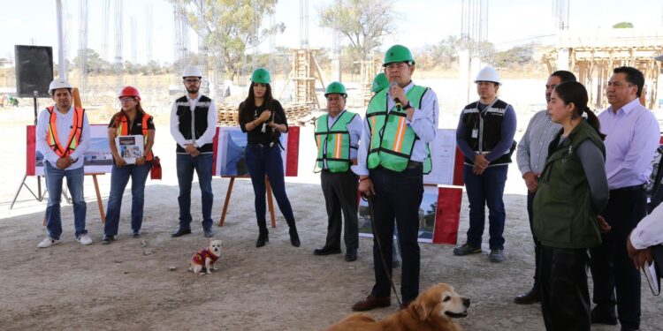 Seres sintientes requieren cuidado, no compras impulsivas: Alejandro Armenta