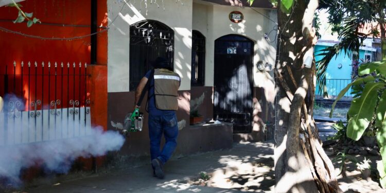 Salud Colima mantiene firme la fumigación contra el dengue