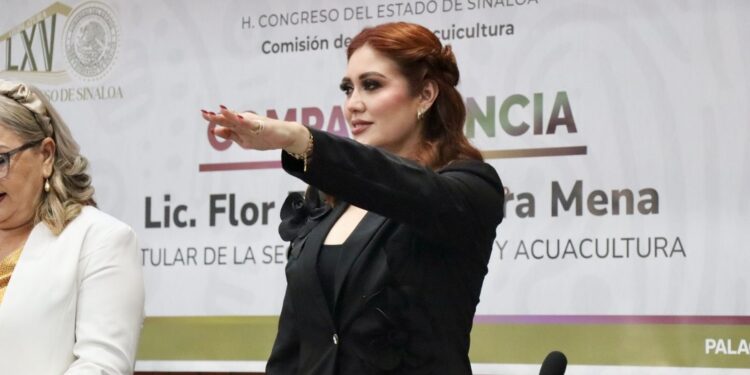 Flor Emilia Guerra Mena expone ante el Congreso del Estado resultados del Cuarto Informe de Gobierno en pesca y acuacultura