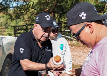 Atiende AGRICULTURA de manera inmediata un caso de gusano barrenador del ganado en el Estado de México