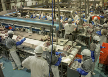 Respaldan industrias ganadera y porcícola medidas del Gobierno de México para proteger la producción nacional