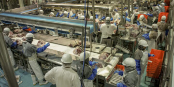 Respaldan industrias ganadera y porcícola medidas del Gobierno de México para proteger la producción nacional