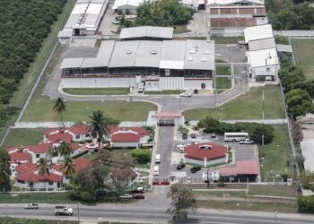 La planta productora de moscas estériles para combatir el gusano barrenador, ubicada en Chiapas, presenta avance del 50 por ciento