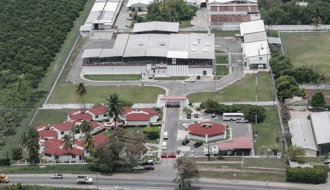 La planta productora de moscas estériles para combatir el gusano barrenador, ubicada en Chiapas, presenta avance del 50 por ciento