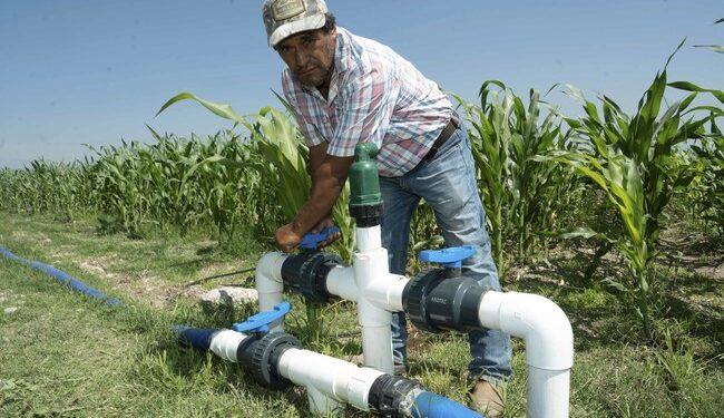 AGRICULTURA, CFE y Conagua establecen acuerdo para integrar un Padrón General Actualizado de Usuarios Agrícolas