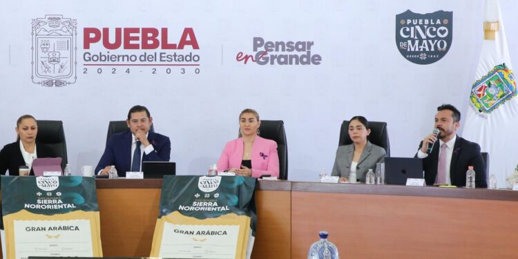 Invita el gobernador Armenta Mier a ambientalistas a sumarse al cuidado de los bosques poblanos