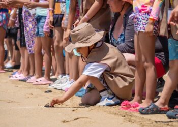 Pequeñas tortugas, grandes recuerdos: infancias viven experiencia única en Acapulco
