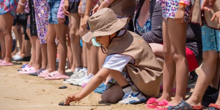 Pequeñas tortugas, grandes recuerdos: infancias viven experiencia única en Acapulco