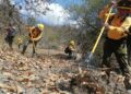 Refuerzan acciones de prevención de incendios con rehabilitación de guardarrayas en Chilpancingo