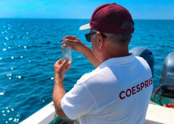 Playas colimenses son aptas para uso recreativo en Semana Santa y Pascua: Secretaría de Salud