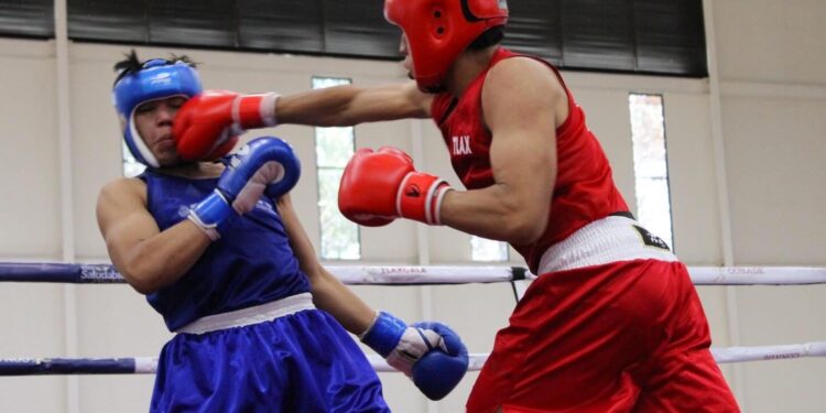 Tlaxcala suma cinco campeones regionales de boxeo y avanza a la Olimpiada Nacional