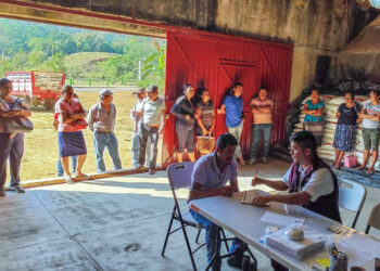 Inicia AGRICULTURA entrega gratuita de fertilizantes en Baja California Sur, Coahuila, Guerrero, Michoacán y Oaxaca