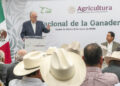Ganadería mexicana mantiene crecimiento sostenido; AGRICULTURA llama a modernizar el sector y fortalecer la sustentabilidad