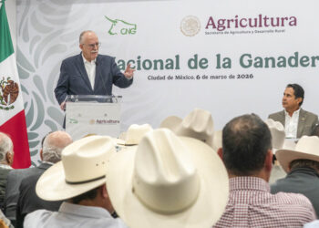 Ganadería mexicana mantiene crecimiento sostenido; AGRICULTURA llama a modernizar el sector y fortalecer la sustentabilidad