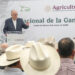 Ganadería mexicana mantiene crecimiento sostenido; AGRICULTURA llama a modernizar el sector y fortalecer la sustentabilidad