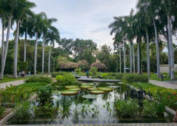 Gobierno estatal refuerza acciones para mejorar el Jardín Botánico y el Parque Ecológico de Culiacán