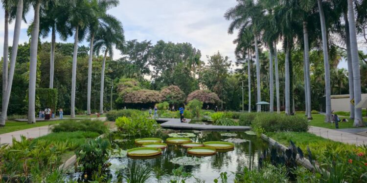 Gobierno estatal refuerza acciones para mejorar el Jardín Botánico y el Parque Ecológico de Culiacán