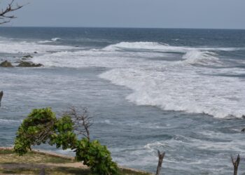 Durante las próximas 48 horas se pronóstica efecto de Mar de Fondo en las costas de Guerrero: SGIRPCGRO