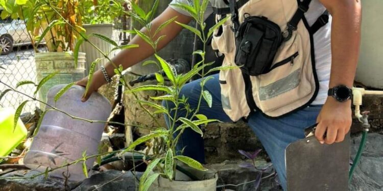 SSG llama a reforzar medidas preventivas contra el dengue ante temporada de lluvia