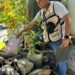 SSG llama a reforzar medidas preventivas contra el dengue ante temporada de lluvia