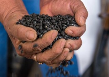 Gobierno de México proyecta inversión histórica de 17 mil 266 mdp para el campo agrícola de Zacatecas