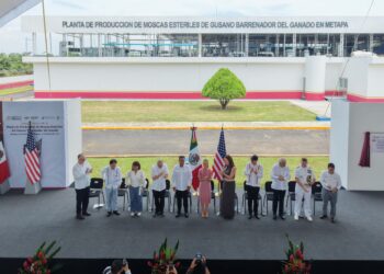 Gobiernos de México y EU inauguran la nueva planta de producción de moscas estériles del gusano barrenador en Chiapas