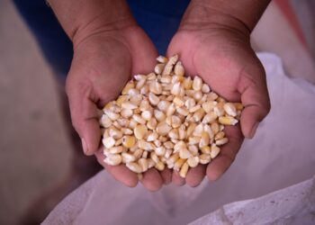 México incrementa 4.5% exportaciones agroalimentarias a Ecuador