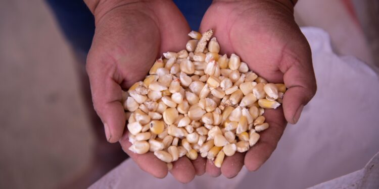 México incrementa 4.5% exportaciones agroalimentarias a Ecuador