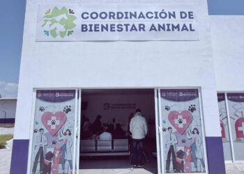 Destaca Coordinación Estatal de Bienestar Animal más de 9 mil atenciones en 2026