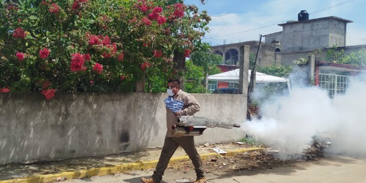 Refuerza Salud Guerrero acciones preventivas contra el dengue