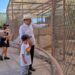 El Gobernador Durazo reaviva Centro Ecológico de Sonora; se registran 73 nacimientos en 2026