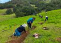 Llama AGRICULTURA a participar en la Jornada Nacional de Reforestación 2026