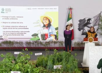 Desde Puebla, la presidenta Claudia Sheinbaum arrancará la Jornada Nacional de Reforestación