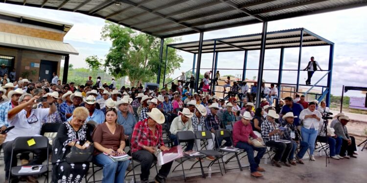 Inician en Sonora Asambleas Regionales para la consulta sobre la propuesta de Ley General de Derechos de los Pueblos Indígenas y Afromexicanos