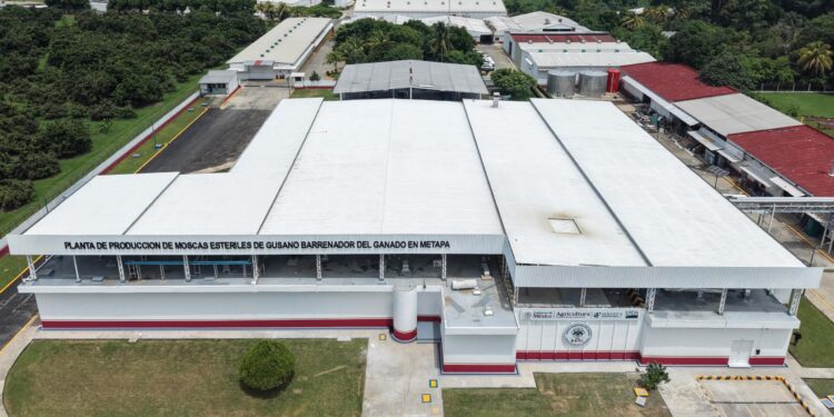 Autoridades y pobladores alcanzan acuerdo para reanudar operación de la Planta de Producción de Moscas Estériles en Chiapas
