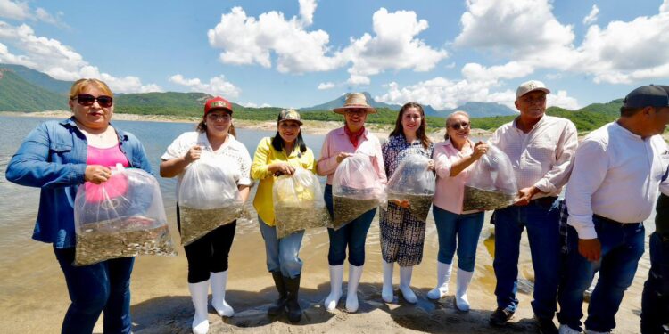 Haremos las gestiones necesarias para que la pesca de Sinaloa tenga mayores apoyos, anuncia Gobernadora Graciela Domínguez