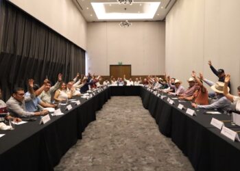 Presidenta Claudia Sheinbaum anuncia que la próxima semana estará en Sinaloa la secretaria de Agricultura para dar continuidad a los temas del campo