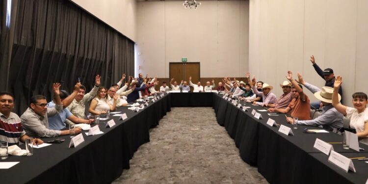 Presidenta Claudia Sheinbaum anuncia que la próxima semana estará en Sinaloa la secretaria de Agricultura para dar continuidad a los temas del campo