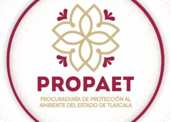 Falso que haya iniciado construcción del PODEBICI