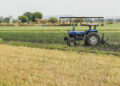 Cumple AGRICULTURA en tiempo y forma con los apoyos al maíz blanco en Michoacán y Guanajuato