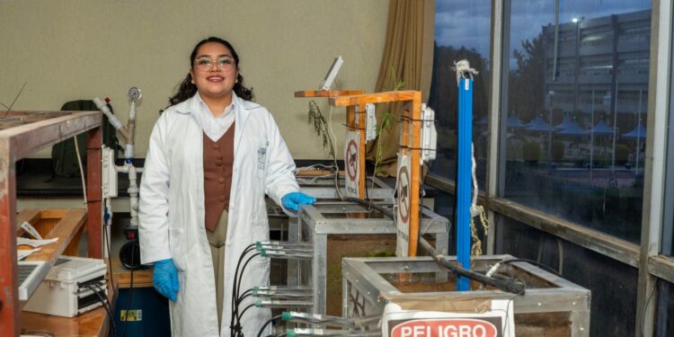Investiga Chapingo el uso de cempasúchil para sanar suelos y recursos hídricos agrícolas