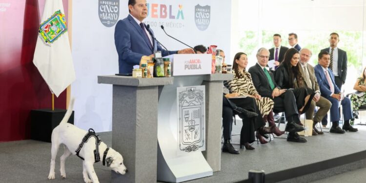 Puebla, ejemplo internacional de protección con la ciudad de los seres sintientes: Alejandro Armenta