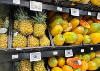 Mientras la producción agroalimentaria se reduce y debilita, comer en México se vuelve mas costoso para las familias: UNTA