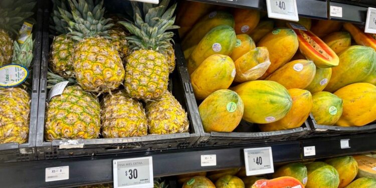 Mientras la producción agroalimentaria se reduce y debilita, comer en México se vuelve mas costoso para las familias: UNTA