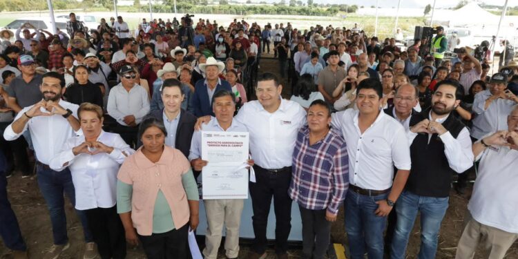 Primer sistema agrovoltaico del país en Puebla, gobierno estatal marca precedente